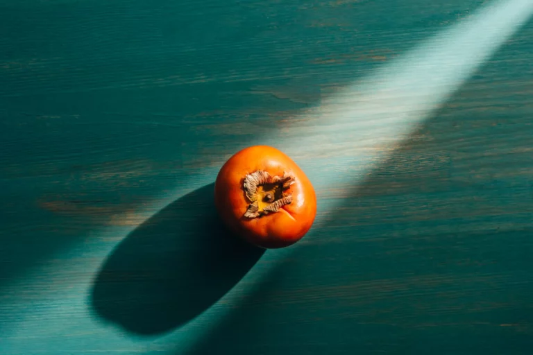 Draufsicht auf Kaki auf dem Tisch mit Licht und Schatten von food fotograf hannover.