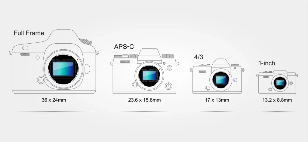Größenunterschied der Kamera Sensoren Aps c, Vollformat in der Food Fotografie.