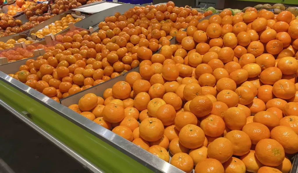 Eine Auswahl an Orangen und Mandarinen, ordentlich gestapelt in der Obstabteilung eines Supermarkts, mit leuchtend orangen Farbtönen und frischer Textur, perfekt für Food-Fotografie in Hannover.