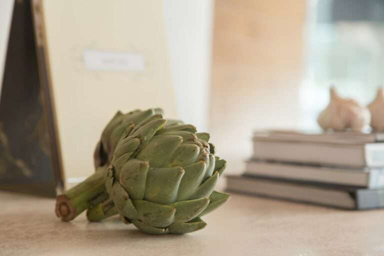 Der Food Fotograf - Eine grüne Artischocke liegt auf einer Arbeitsplatte neben einem Stapel Bücher und einem aufrecht stehenden Rahmen. Der Hintergrund ist leicht verschwommen und suggeriert eine gemütliche Inneneinrichtung. Lecker Essen fotografieren.