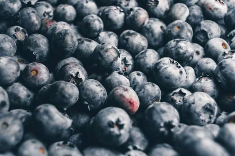Food Fotograf Hannover - Eine Nahaufnahme zahlreicher frischer Blaubeeren, die ihren natürlichen blau-violetten Farbton und ihre unterschiedlichen Größen zeigen. Einige Beeren sind teilweise beschädigt oder weisen kleine Unvollkommenheiten auf, was eine realistische Darstellung der Frucht ergibt. Die Lebensmittelfotografie fängt die Textur und die Farbdetails wunderschön ein. Food Fotografie Hannover.