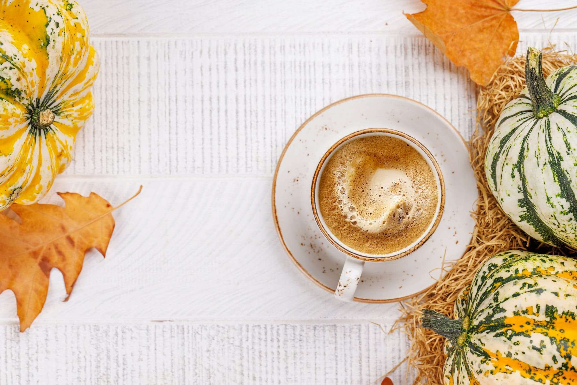 Food Fotograf Hannover - Eine Tasse Kaffee steht auf einer Untertasse auf einer weißen Holzoberfläche, umgeben von kleinen Kürbissen mit grünen und gelben Markierungen, braunen Herbstblättern und Stroh. Diese Requisiten Food Fotografie-Szene fängt die gemütliche Stimmung des Herbstes perfekt ein. Food Fotografie Hannover.