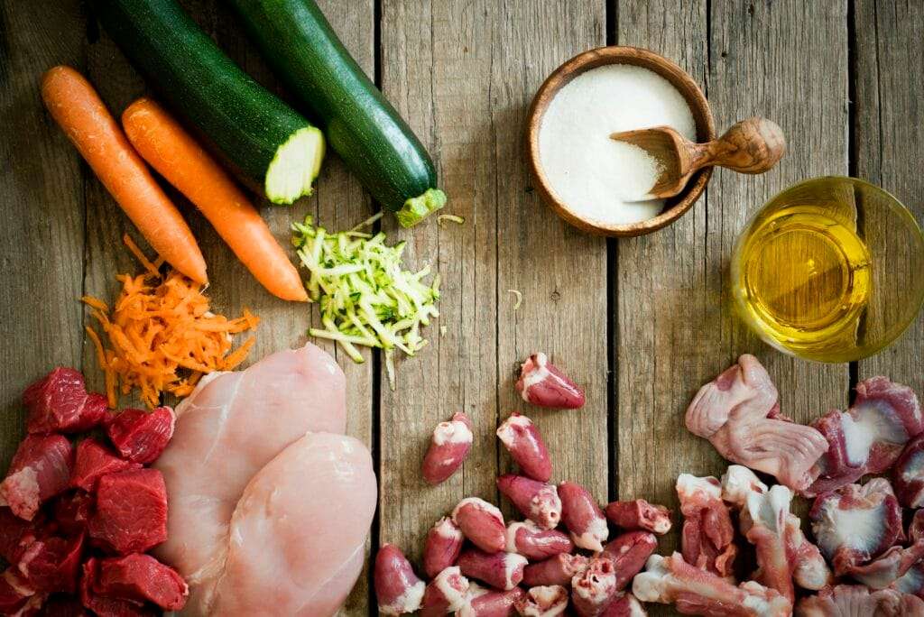 Species-appropriate cat food