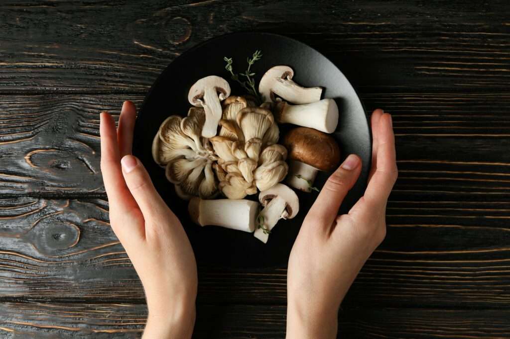 Mushrooms, concept of autumn food, autumn harvest